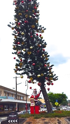 Santa is taking regular leave from his toy workshop to help prop up the leaning Christmas tree of Lismore.
