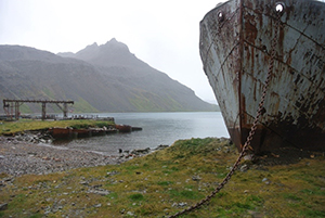 Remnants of whaling at Grytviken