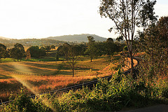 The Line to Kyogle, Steve Garner 2012