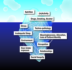 An iceberg analogy of the interactions between lifestyle/environmental determinants