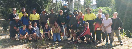 Casino bush tucker group