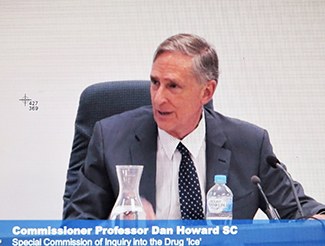 Commissioner Professor Dan Howard